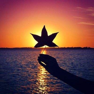 可爱情侣的婚礼